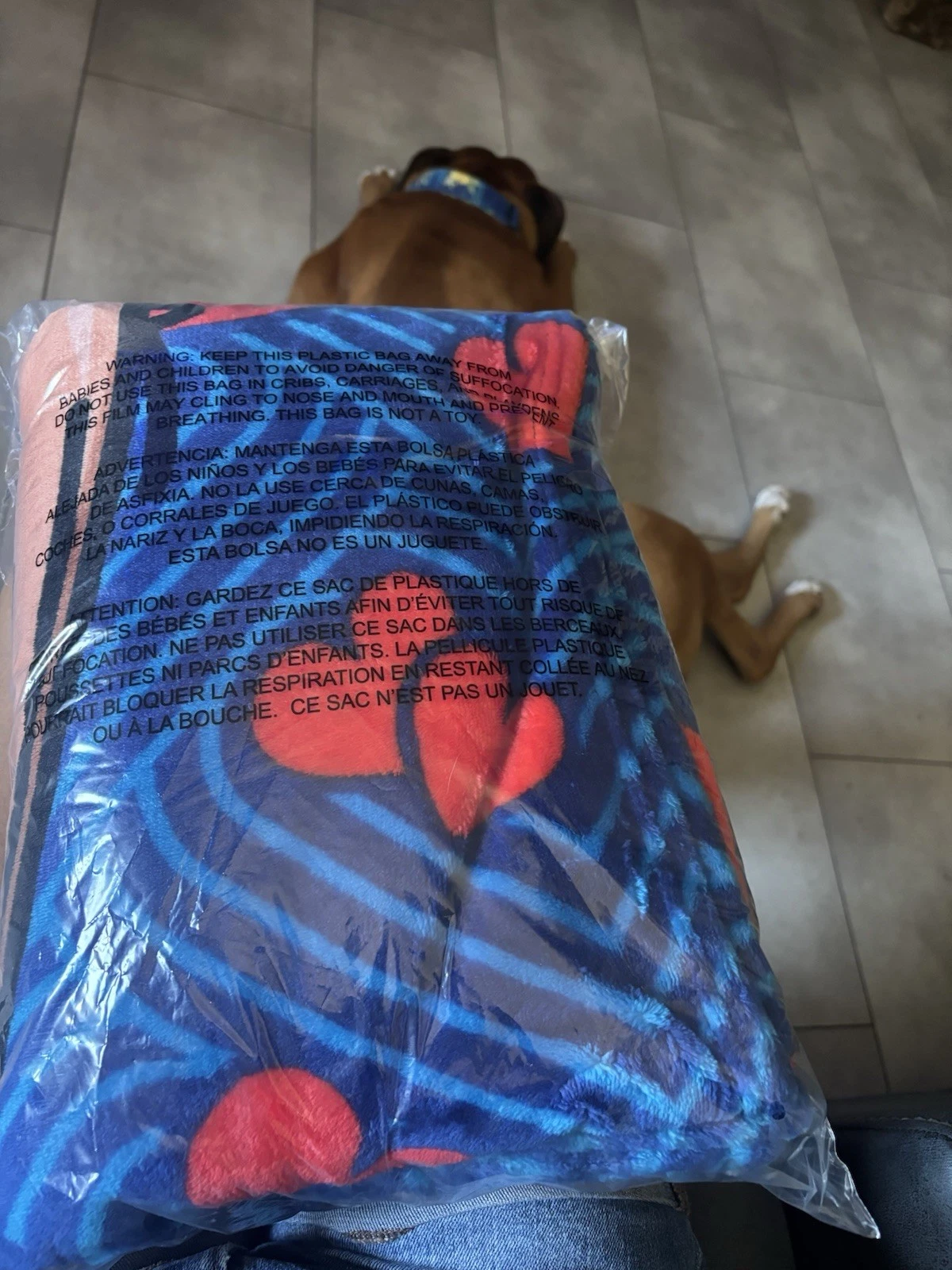 Dodgers date Night Blanket