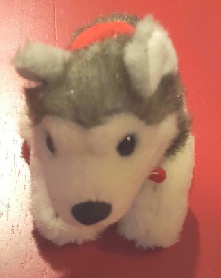 all white husky puppy with blue eyes