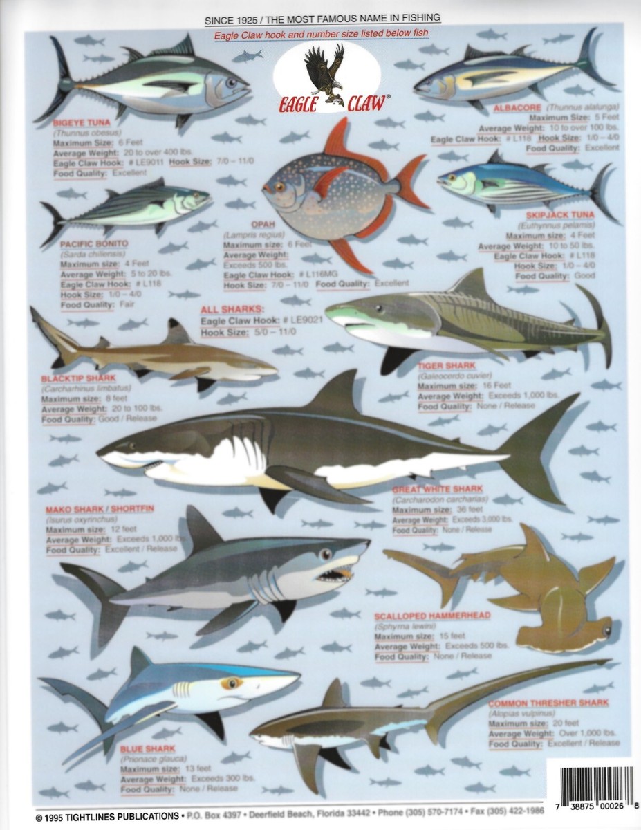 Pacific Big Game Fish Identification #2 - Quick Reference Guide | eBay