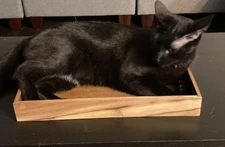 Durable Yet Lightweight Multifunctional Serving Tray