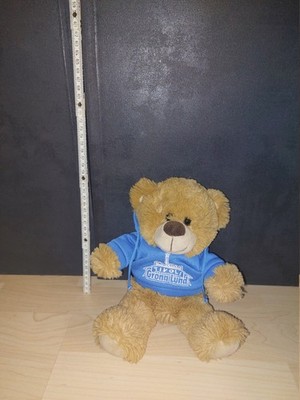 Kuscheltier Teddybär mit Hoodie Grönalund Tivoli ausziehbar  WILD REPUBLIC 25 cm