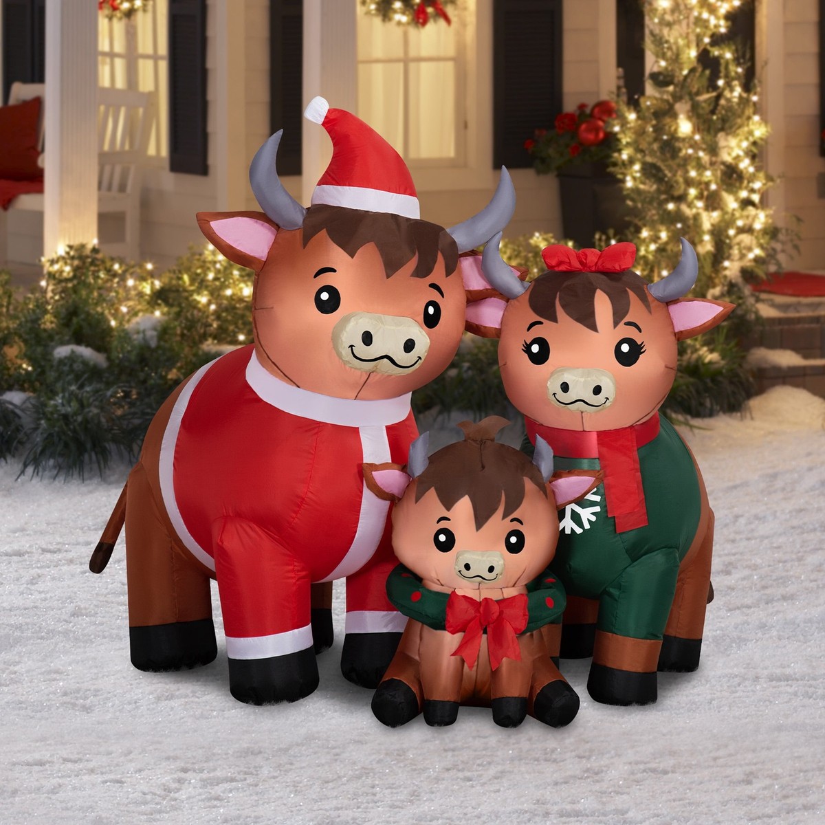 cow dressed up for christmas Wishing you a very Merry Mooey Christmas filled with joy, peace, and lots of mini cow cuteness! Thank you for being here, supporting us and loving our little mini cow farm family