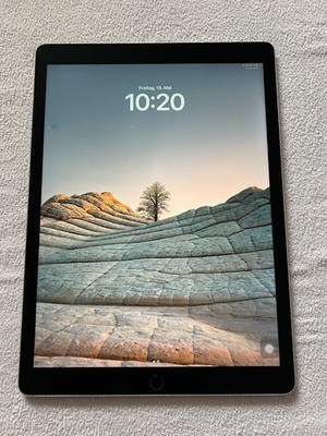 Apple iPad Pro 1. Gen 32GB, Wi-Fi, 12,9 Zoll - Space Grau