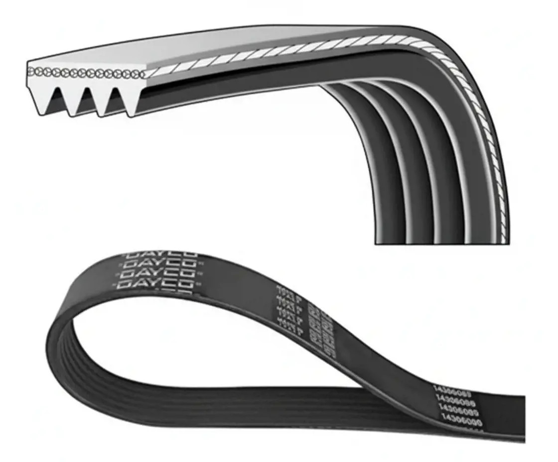 Dayco Cinghie Con Nervatura A V 4Pk1390hd - Immagine 2
