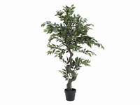 Artplants KüNstlicher Ficus Exotica Yuma, GrüN, 110Cm