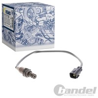 Vemo Lambdasonde Passend FüR CitroËN C1 Daihatsu Cuore Sirion Lexus GS LS Peugeo