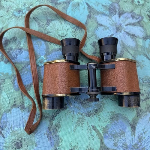 WW1 Bausch & Lomb US Army Military Signal Corps Binoculars Optics Stereo 6x30