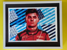 Arte Pop Death NYC LG Enmarcado 16x20 pulgadas Certificado de Autenticidad Original Max Verstappen F1/2