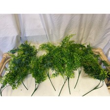 plastic hanging fern plants.