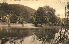 Arundel, Swanbourne Lake, Sussex, LL French Postcard, 1900s