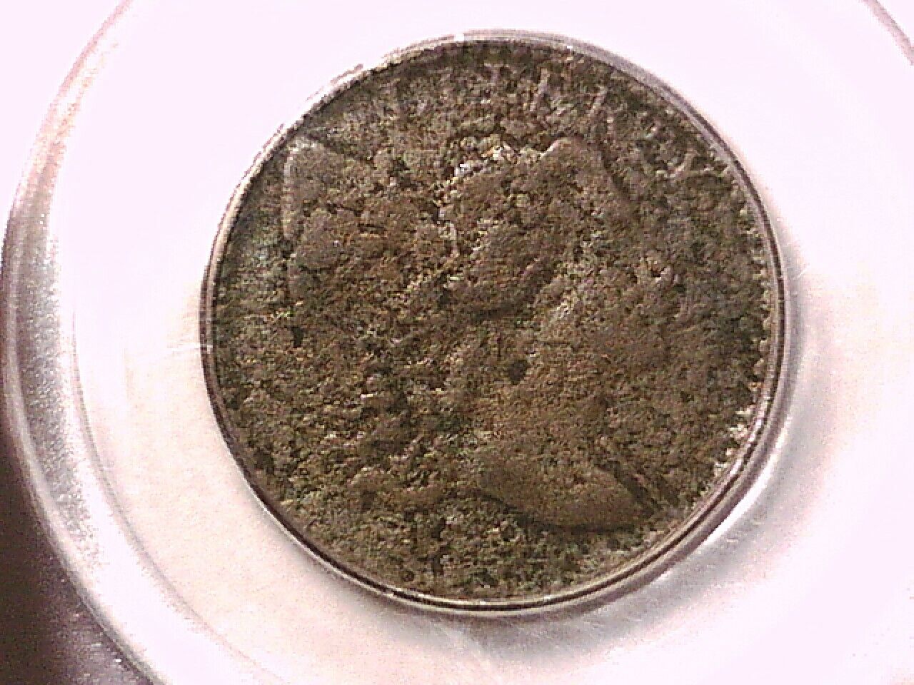 Picture 4 of 5