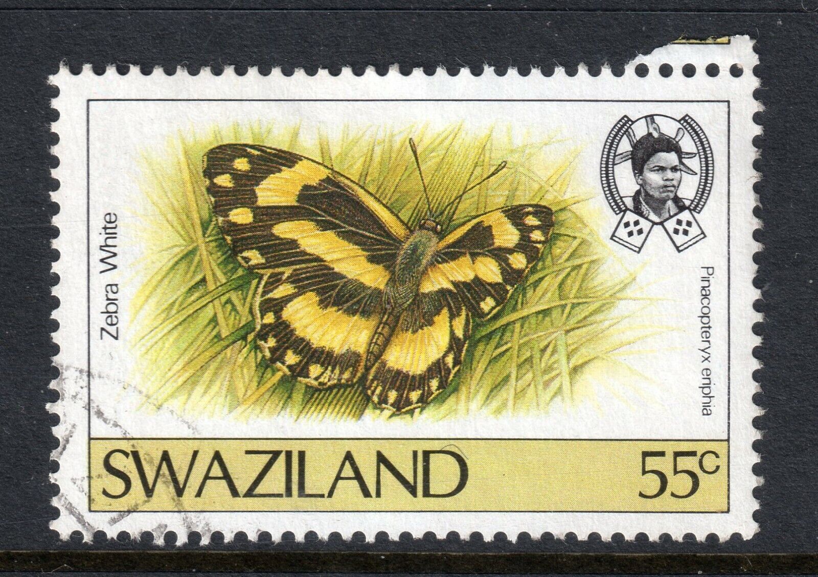 Bargain SWAZILAND = 1987 Lowest price challenge 55c Butterfly. Fine SG 524. ab Used.
