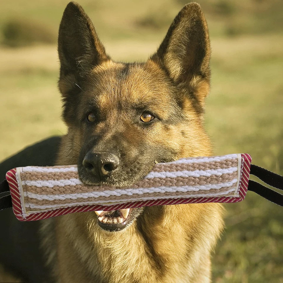 2 Stück Beisswurst Hunde Jute Training Griff - Bild 4 von 4