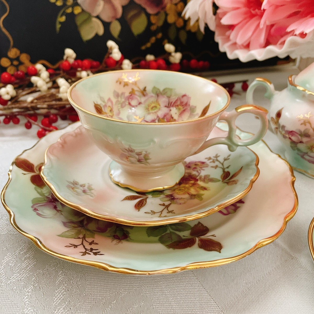 Schumann Bavaria Wild Rose Blush Tea Cup & Saucer & Plate Germany 