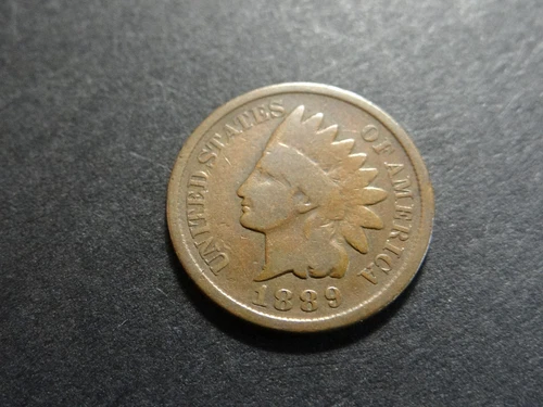 1889 Indian Head One Cent Penny- Good Details, Brown