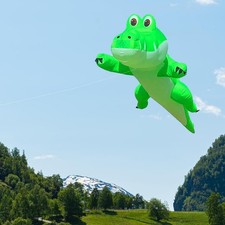 Kite for Beginners Creative Kite for Outdoor Beach Trips