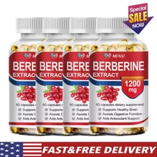 Premium Berberine HCL 1200mg High Potency Anti-inflammatory,Blood Sugar Support