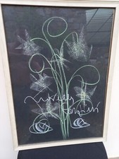 Fiori.gessetto su cartone Novella Parigini