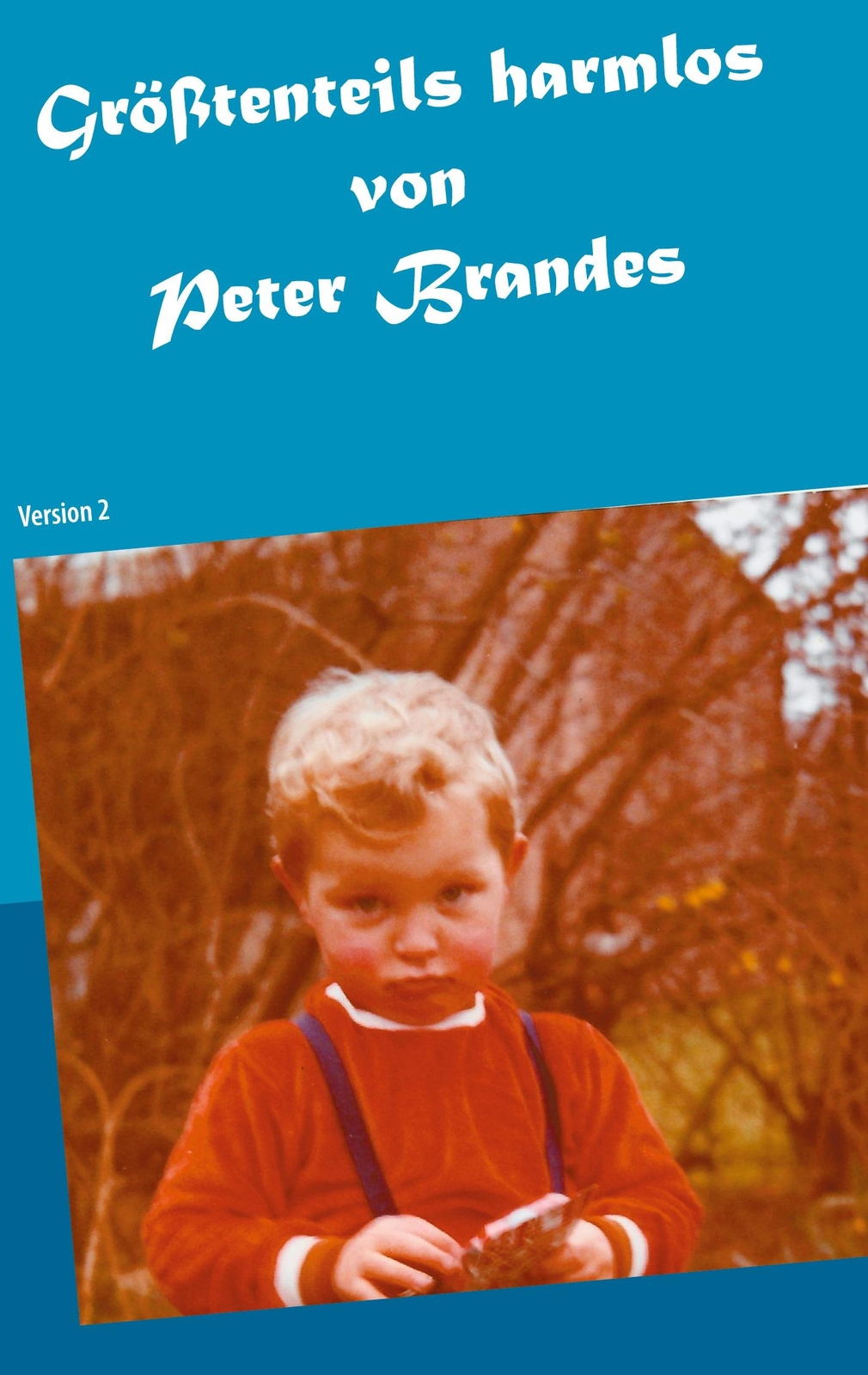 Größtenteils Harmlos | Buch | 9783754321362