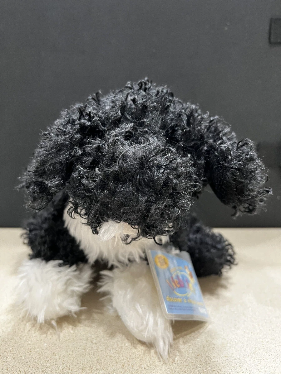 Webkinz portuguese 2025 water dog