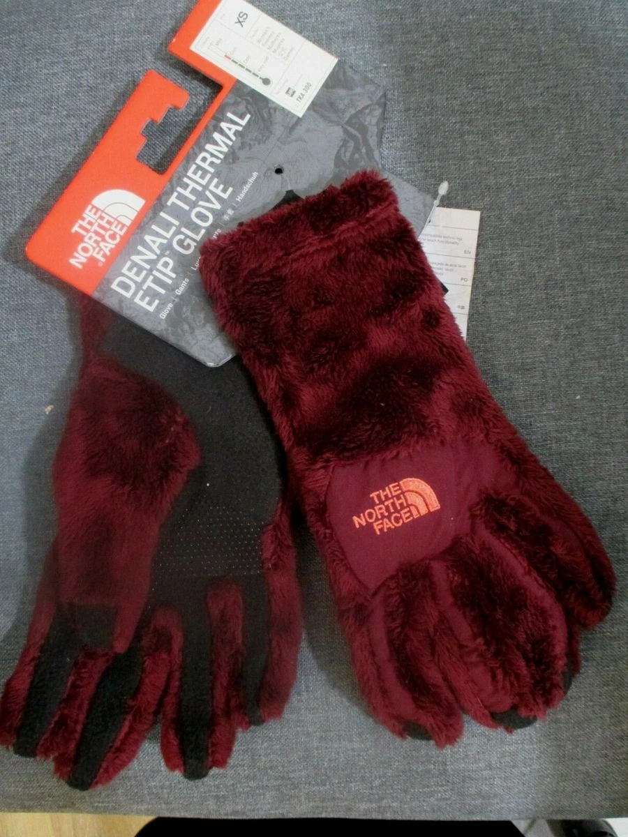 North face shop denali etip gloves