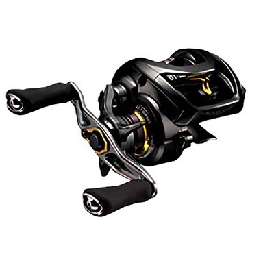 Daiwa STEEZ SV TW 1016-SV-H Baitcasting Reel | eBay