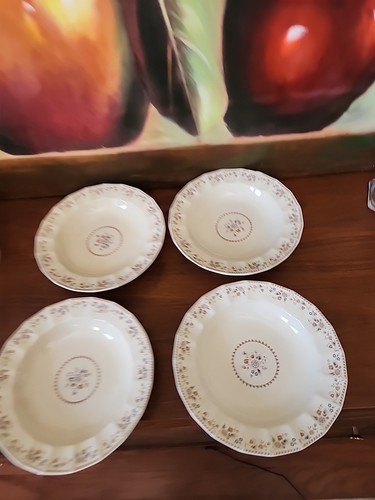Mikasa Country English Aristocrat 8-3/4" Rand Suppe/Salat Schüsseln 4er Set Blume - Bild 1 von 12
