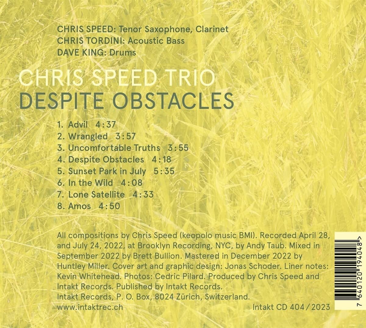 Альбом Chris Speed Trio, несмотря на препятствия (CD)