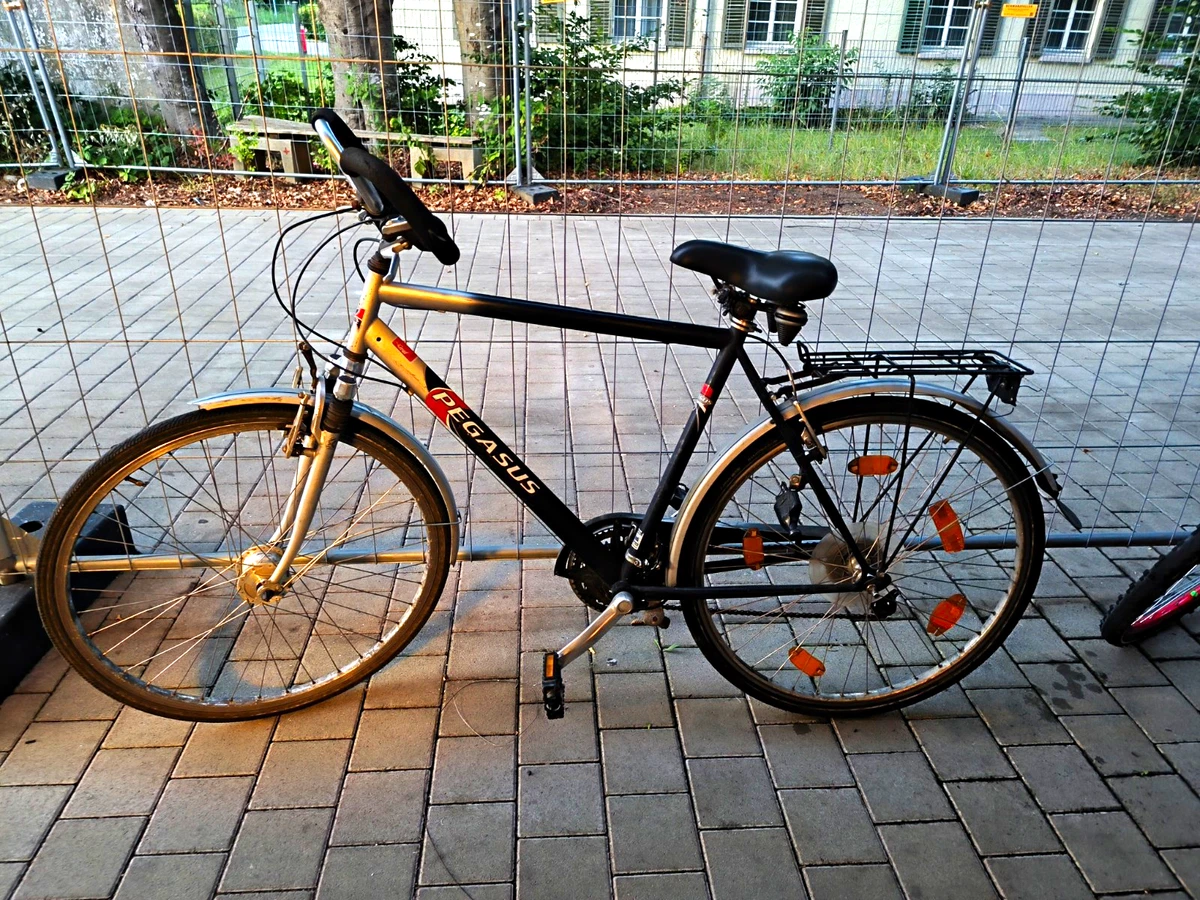 bryton fahrradcomputer Rider 550 GPS Sensor-Bundle mit 37 Stunden Akkulaufzeit, 2,8-Zoll Farbdisplay und Fahrradnavigation Sport & Freizeit Category:Kinder Jugend Fahrräder_Sunnywheel  Kunststoffschutzbleche koeka Spielzeugbeutel Vik „shadow Farbe:burnt yellow