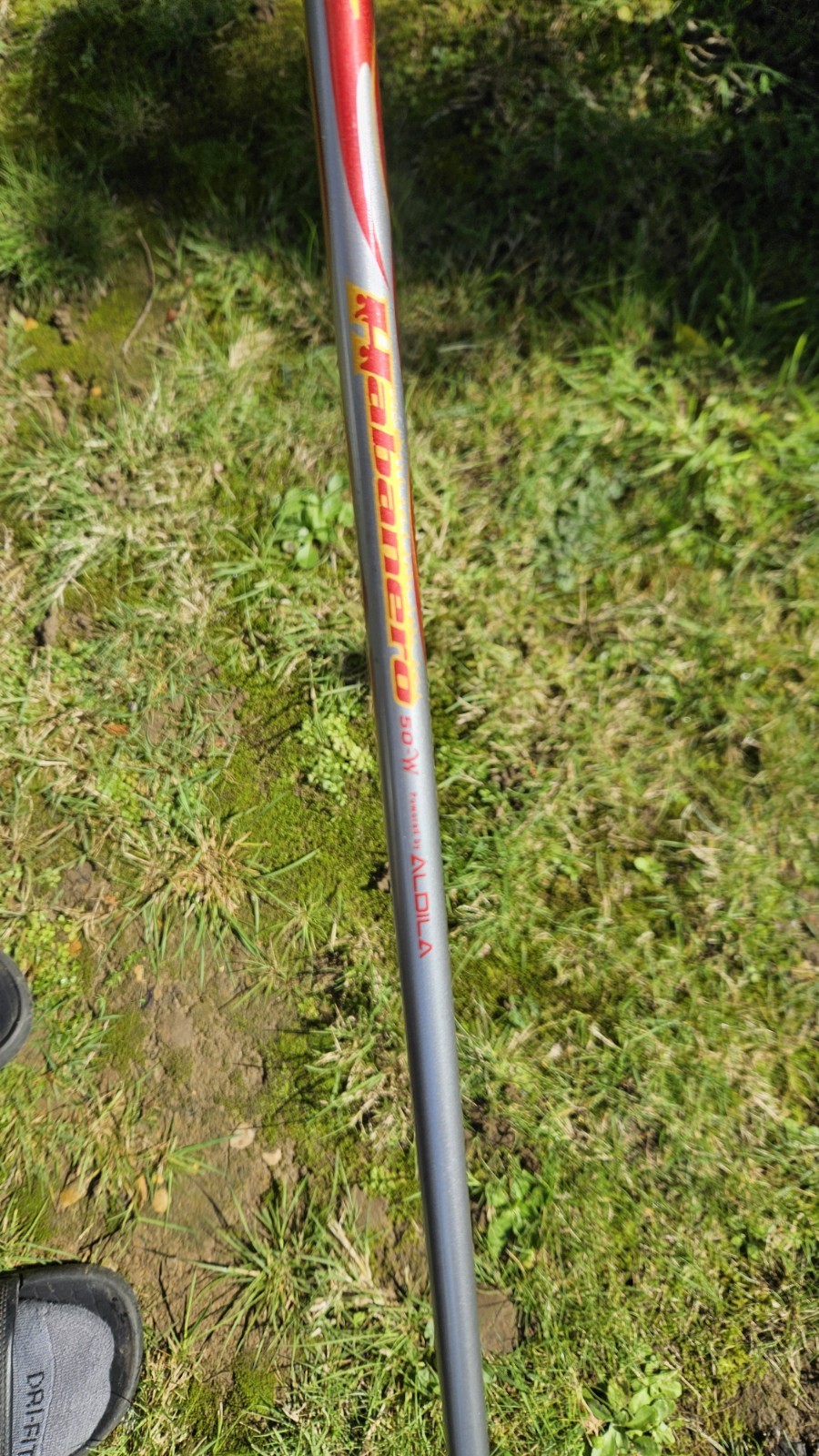 Picture 4 of 6