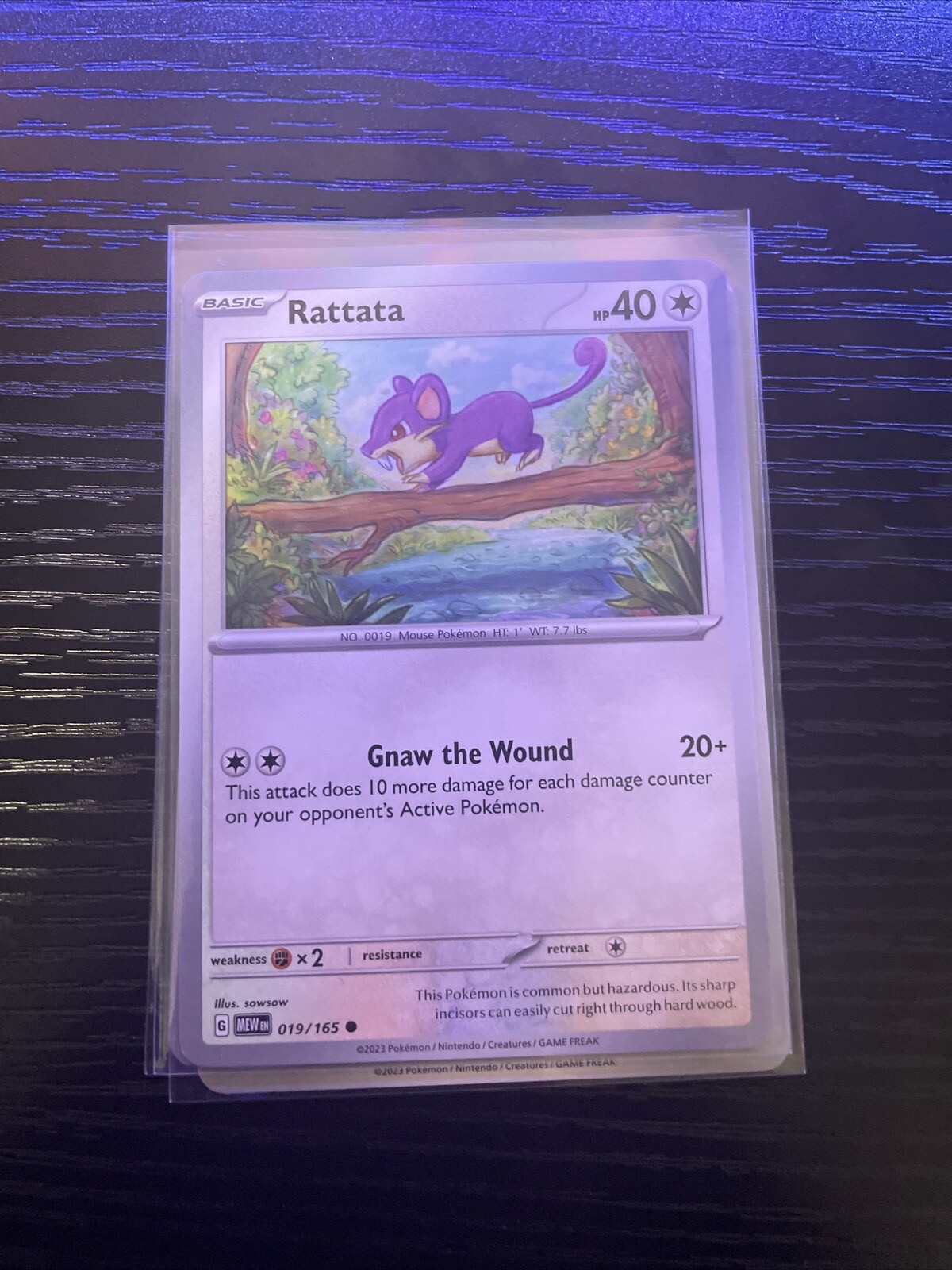Pokemon TCG 151 - Rattata 019/165 - NM Pack Fresh