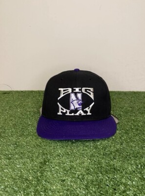Vintage Northwestern Wildcats hat cap snap back black purple mens Y2K BIg Play