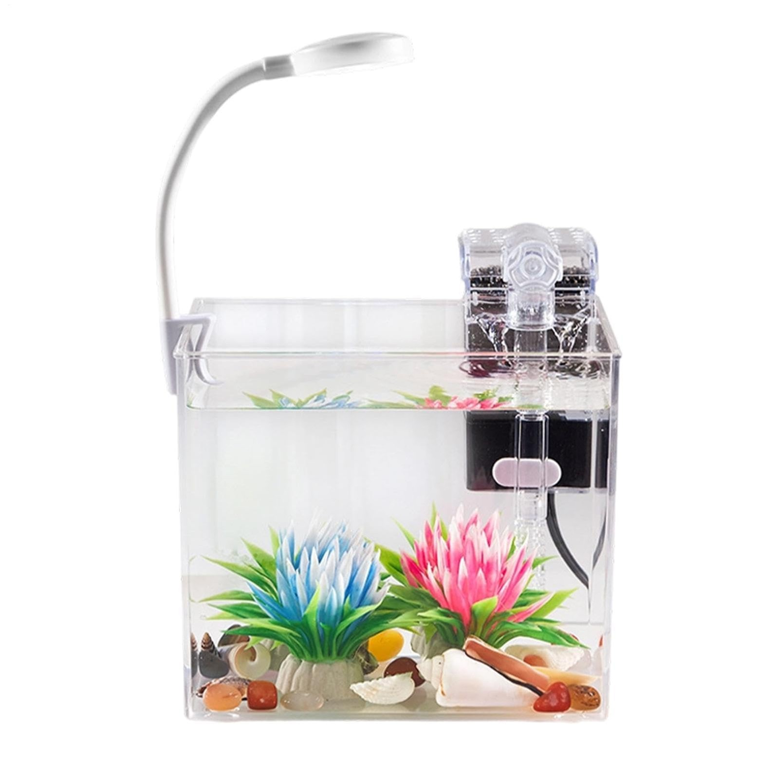 Mini Acquario con LED, Antiscivolo, Decorativo - Esperienza visione