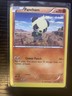 Pancham 60/111 XY-Furious Fists Miscut Error MP Card Pokemon TCG