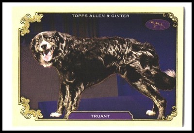 2024 Topps Allen & Ginter #SOS-4 Truant Stars of the Show Westminster