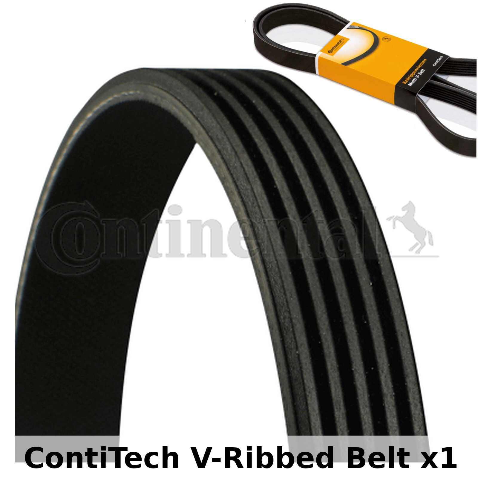 Vribbed Belt For MercedesBenz Peugeot Citroen Fiat Continental ctam