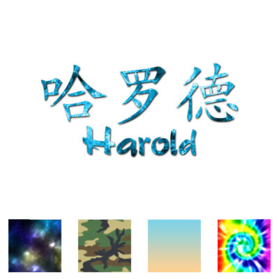 Chinese Symbol Harold Name - Decal Sticker - Multiple Patterns & Sizes - ebn2176