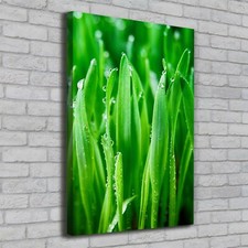 Stampa su tela Tulup Wall Art 70x100 - Lami d'erba