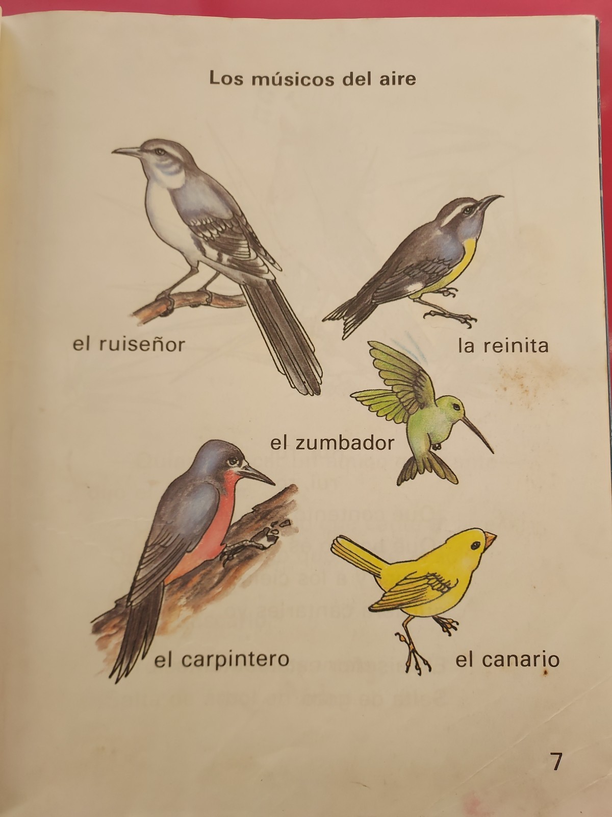 Picture 7 of 24