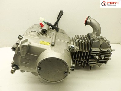 Motor (Apollo - Rfz 125 2018)