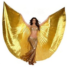 Adult Egyptian Professional Belly Dance Costume Angle Golden back not open 