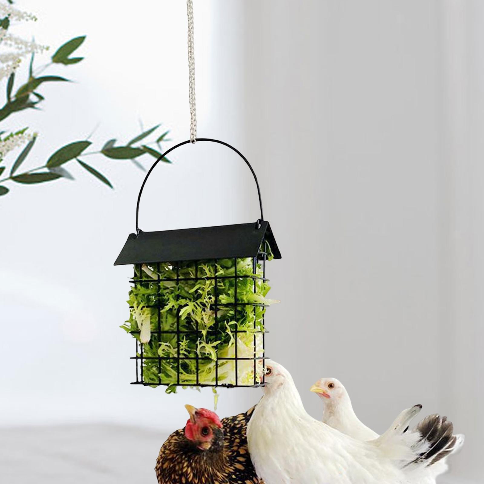 Suet Feeder Hanging Feeder for Hens Chicken with Chain Chicken Coop Accessories eBay