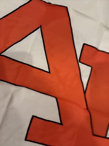 Bandera retro vintage de los tigres castaño rojizo 42x29 de Flag Factory. Único Raro - Imagen 5 de 5