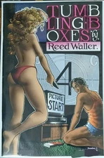 Comic in Description 