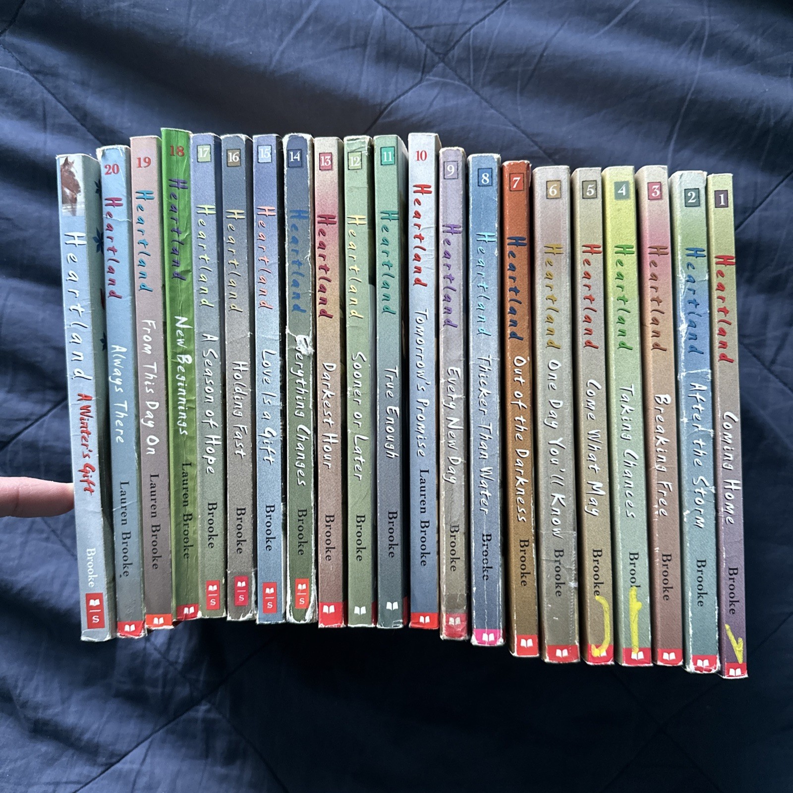 Heartland Series by Lauren Brooke Complete Set 1-20 + 1 Special Edition