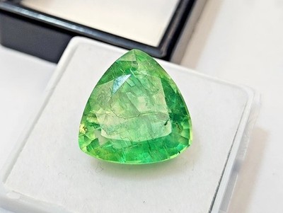 VVS Green Colombian Emerald Trillion Cut 9-10 Ct EGL CERTIFIED Loose Gemstone