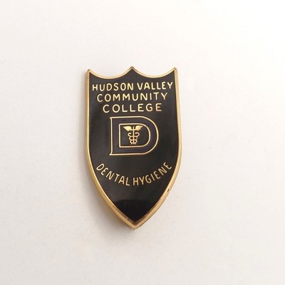 10k Gold Filled Hudson Valley Community College Dental Hygiene Enamel Brooch Pin