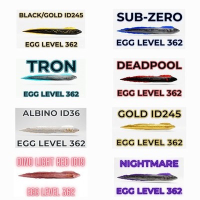 Ark Ascended Electrophorus Top Stats Egg Pve Official PC/XBOX/PS5