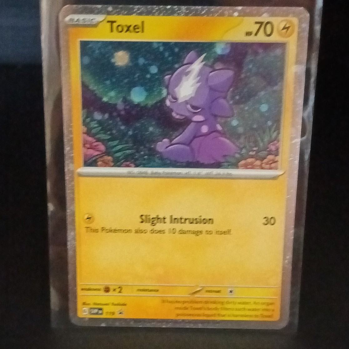 The Pokémon Company Toxel Sv: Scarlet & Violet Promo 119 Promo Holo English 70HP