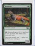 MTG Rootwalla Welcome Deck 2017 (W17) Common Magic Card #027/030 Unplayed
